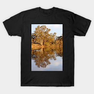 River Murray Reflections Late Afternoon T-Shirt